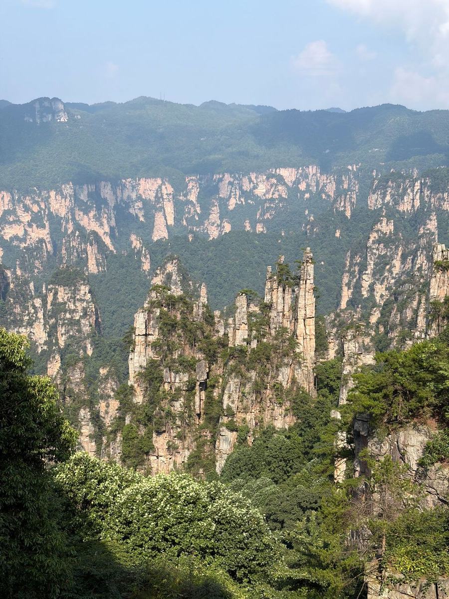 Zhangjiajie sandstone pillars
